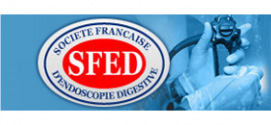 Logo SFED